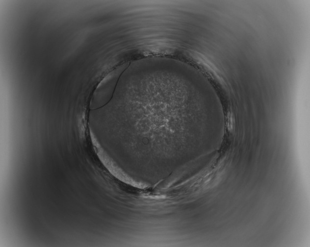 X0000096410915200802211222