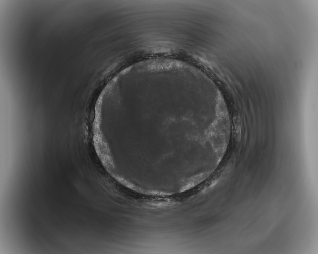 X0000096410916200802211222