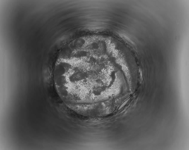X0000096410917200802211222