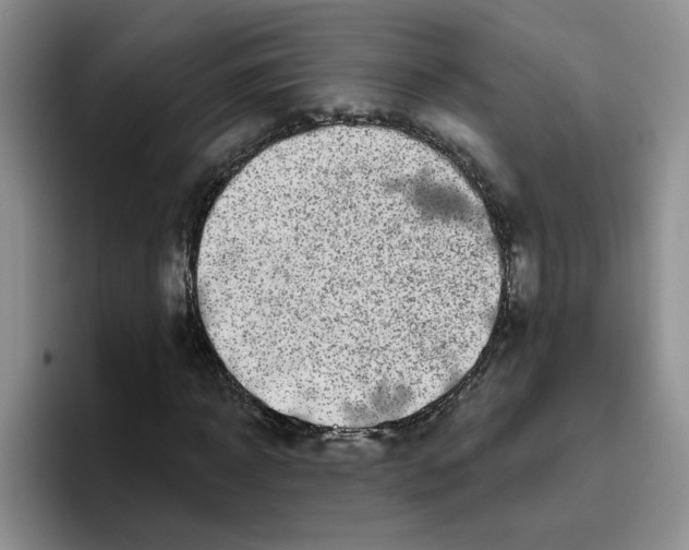 X0000096410918200802211222