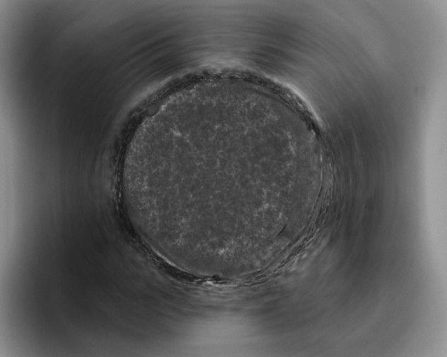 X0000096410919200802211222