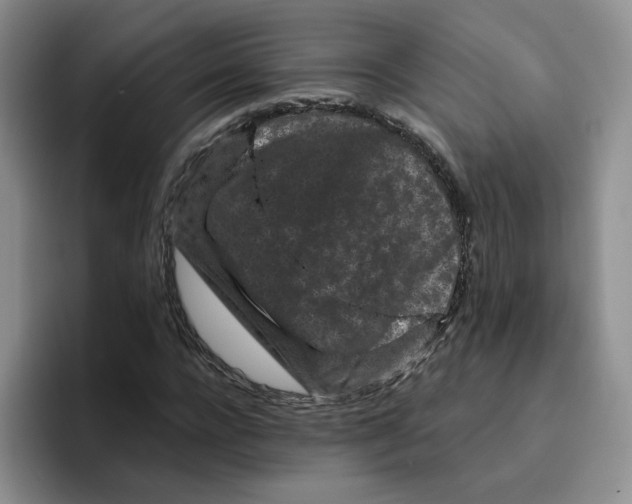 X0000096410920200802211222
