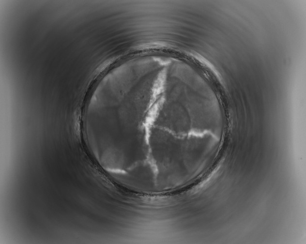X0000096410921200802211222