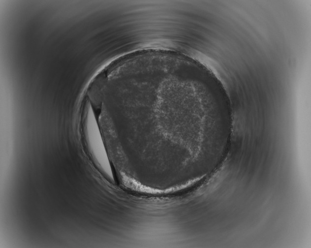 X0000096410923200802211222