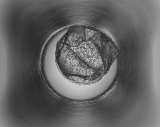 X0000096410924200802211222