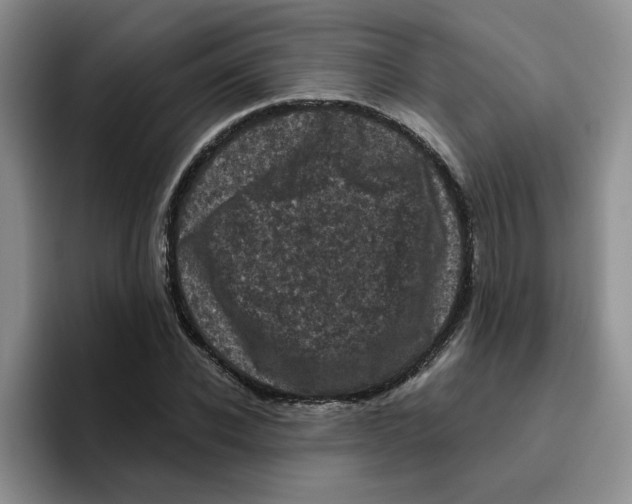 X0000096410926200802211222