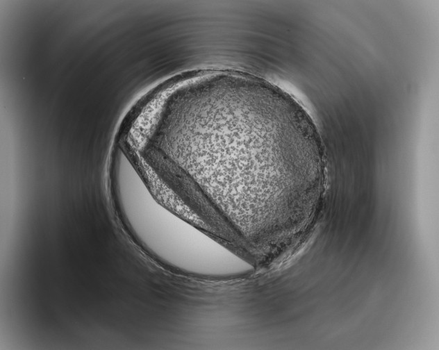 X0000096410928200802211222