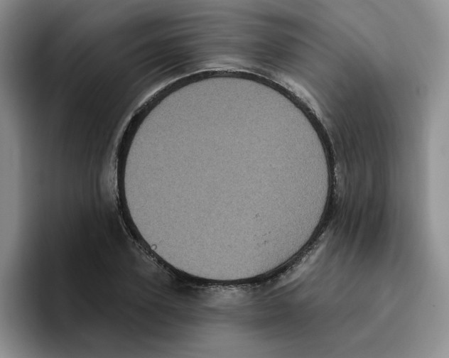 X0000096410931200802211222