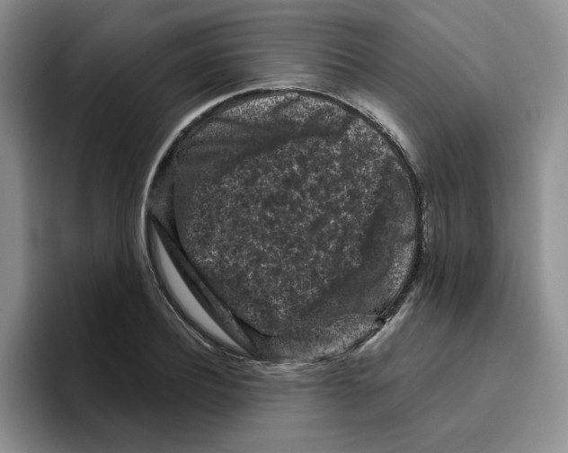 X0000096410932200802211222