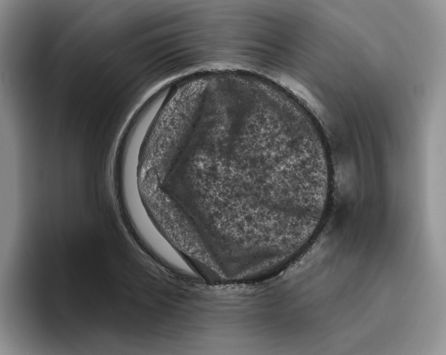 X0000096410934200802211222