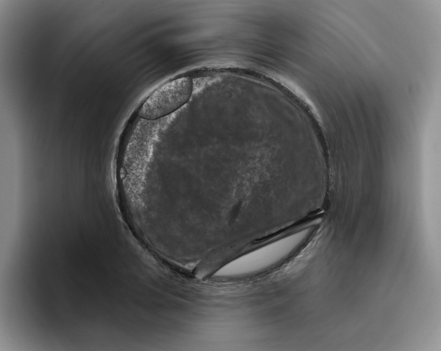 X0000096410935200802211222