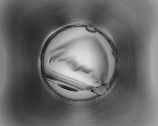 X0000096410936200802211222