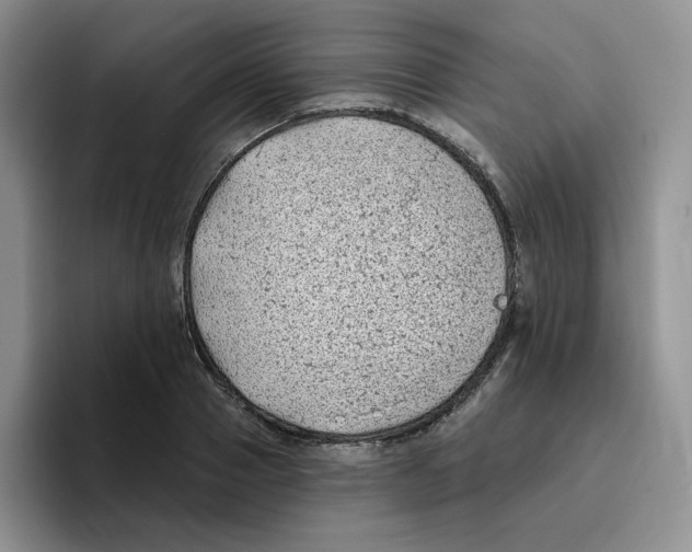 X0000096410937200802211222