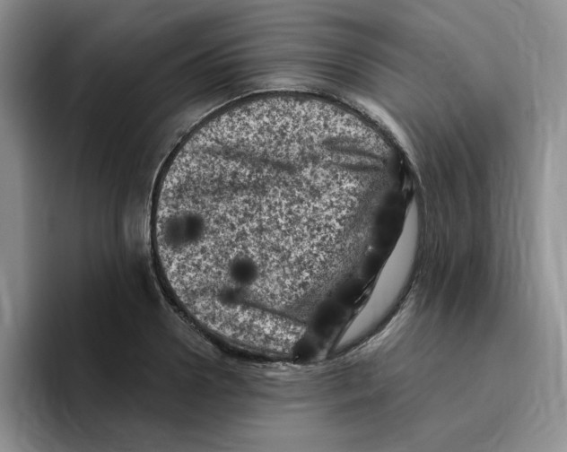 X0000096410938200802211222