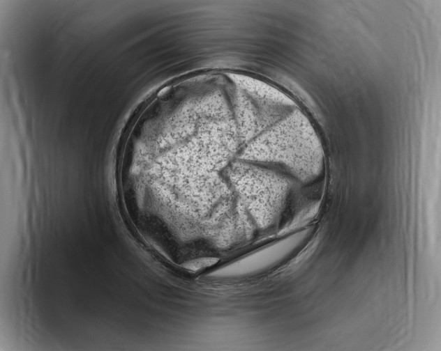 X0000096410939200802211222