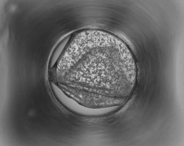 X0000096410940200802211222
