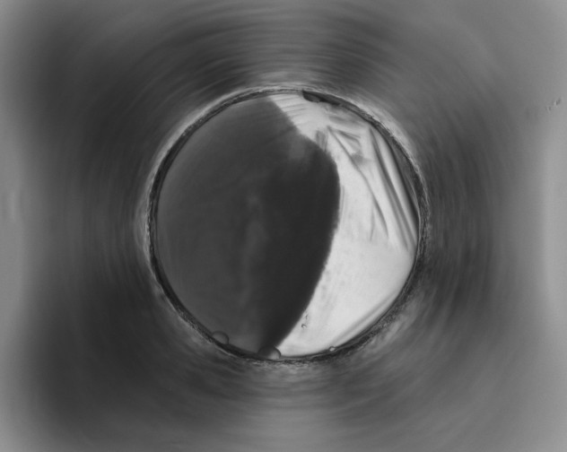 X0000096410941200802211222
