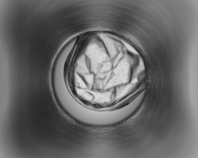 X0000096410942200802211222
