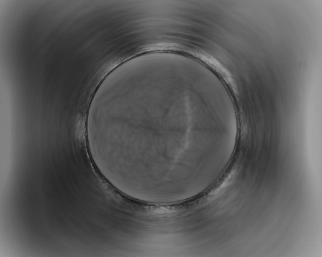 X0000096410945200802211222