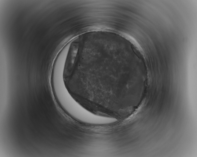 X0000096410946200802211222