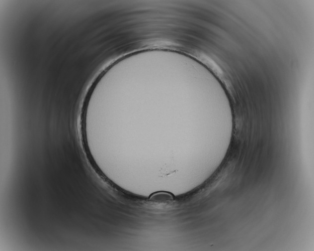 X0000096410947200802211222
