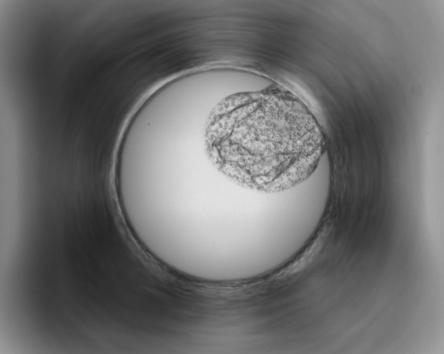 X0000096410948200802211222