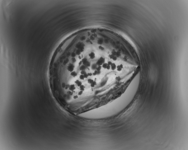 X0000096410951200802211222