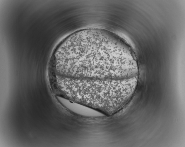 X0000096410952200802211222