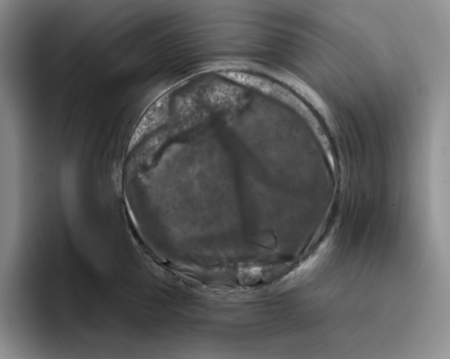 X0000096410953200802211222