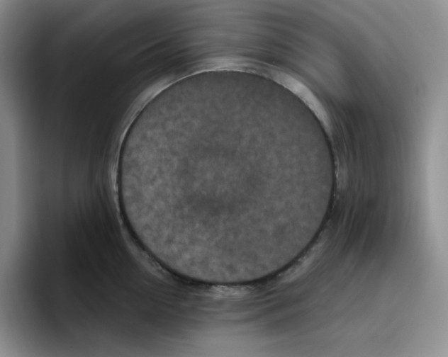 X0000096410954200802211222