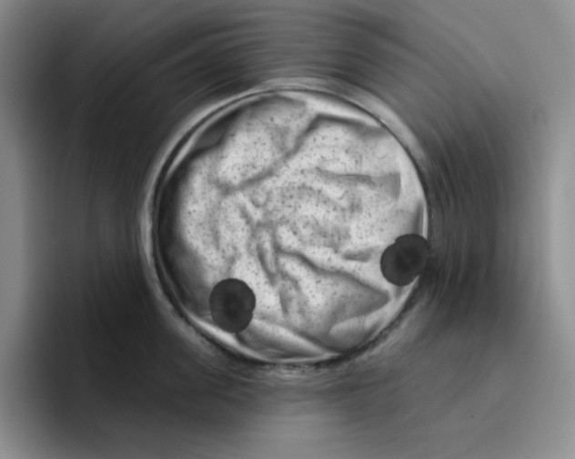 X0000096410955200802211222