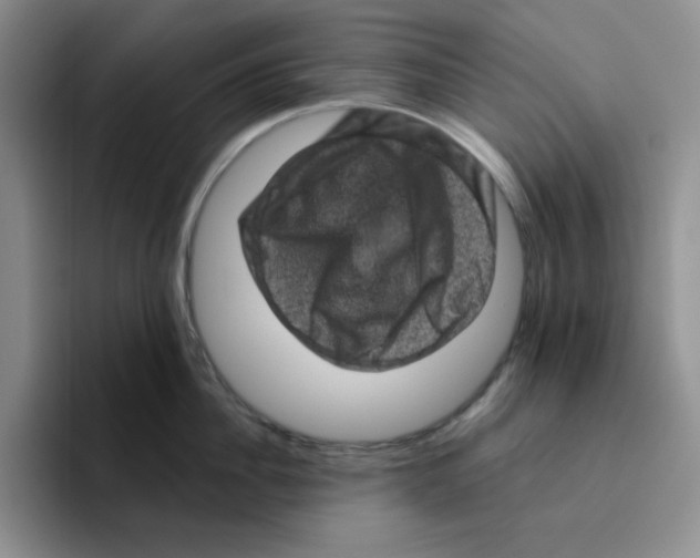 X0000096410956200802211222