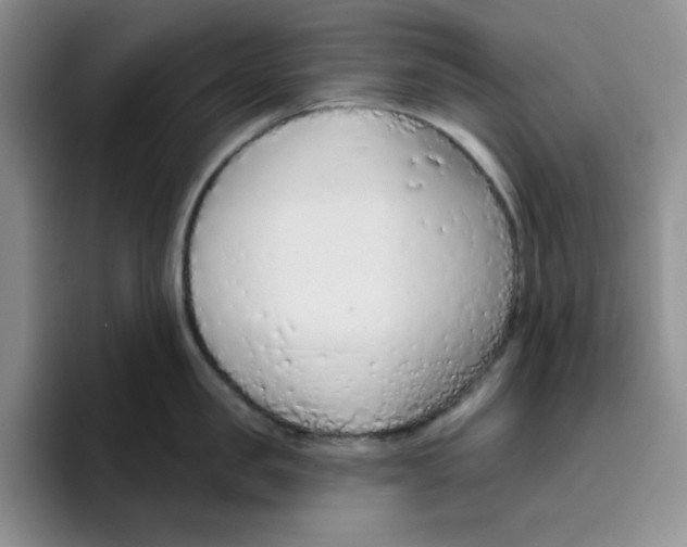 X0000096410957200802211222