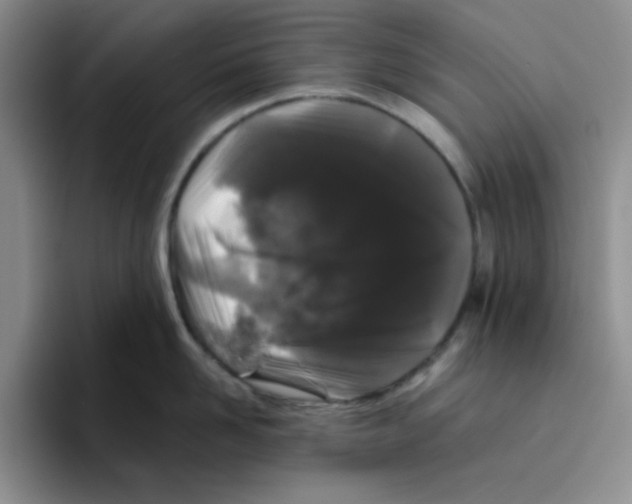 X0000096410958200802211222