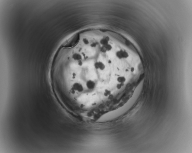 X0000096410959200802211222