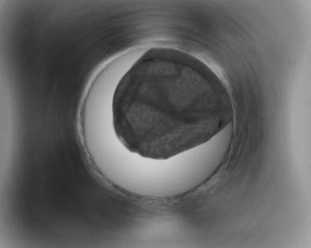 X0000096410960200802211222