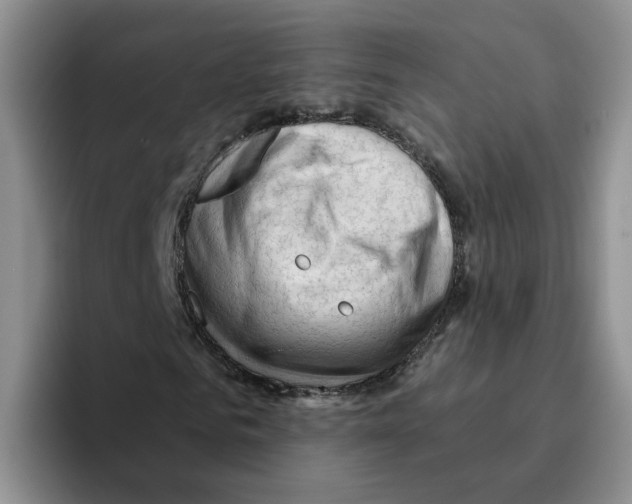 X0000096410961200802211222