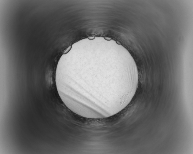 X0000096410962200802211222