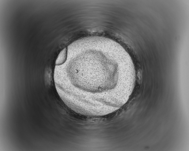 X0000096410963200802211222