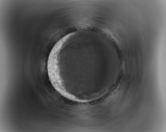 X0000096410964200802211222