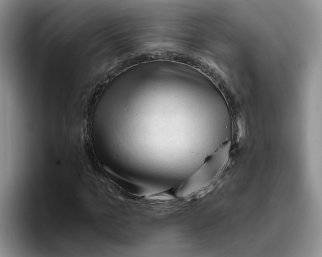X0000096410965200802211222
