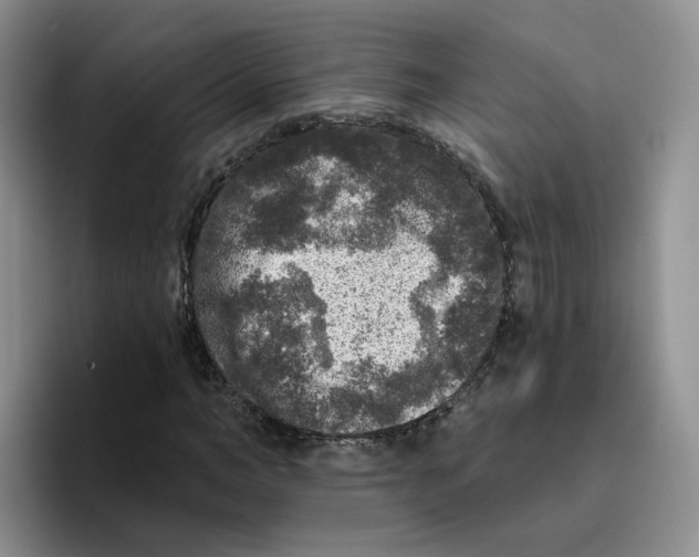 X0000096410966200802211222