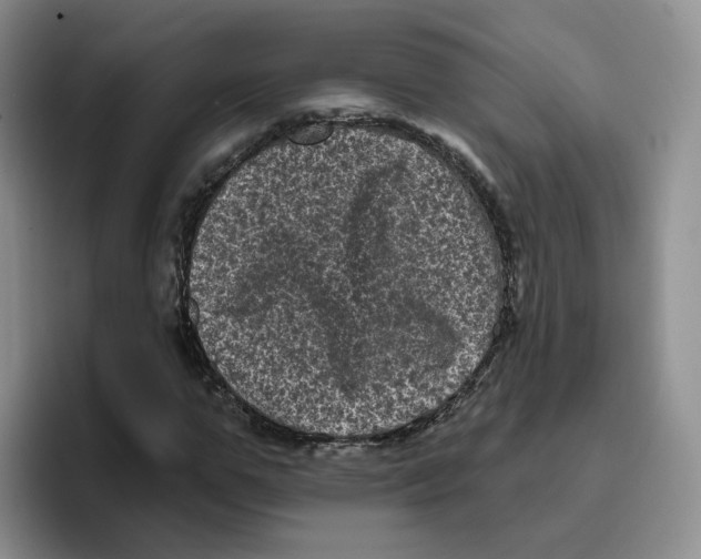 X0000096410967200802211222