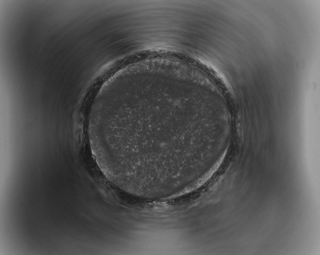 X0000096410968200802211222