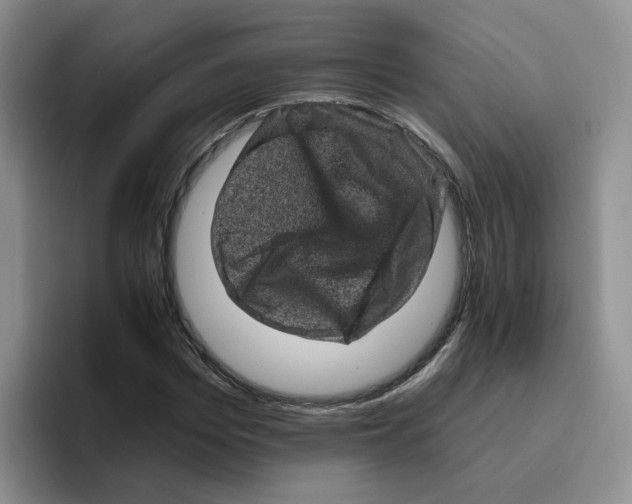 X0000096410969200802211222