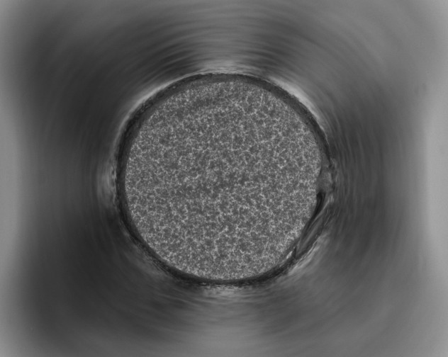 X0000096410971200802211222