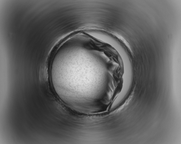 X0000096410973200802211222