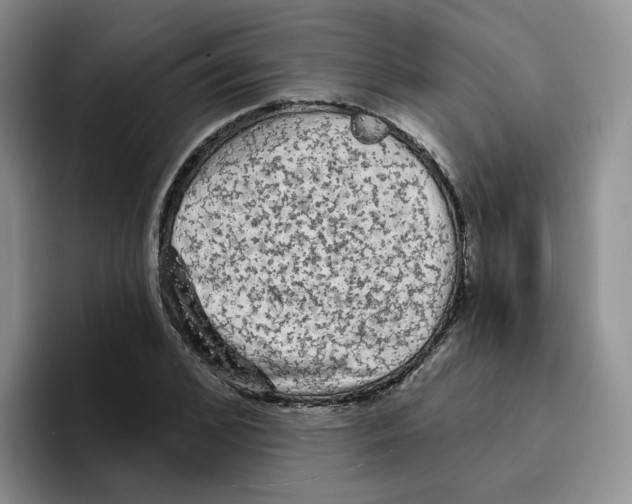 X0000096410976200802211222