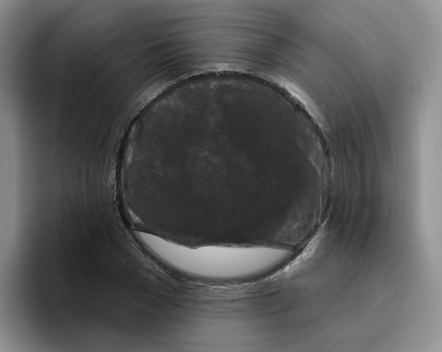 X0000096410977200802211221
