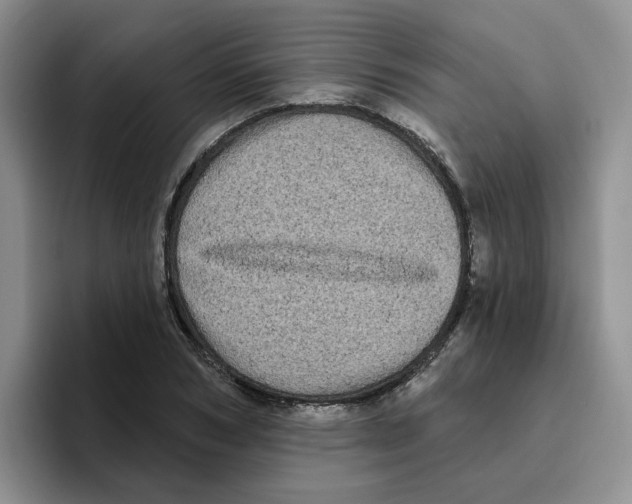 X0000096410978200802211221